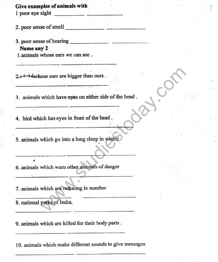 CBSE Class 5 EVS Super Senses Worksheet Set A